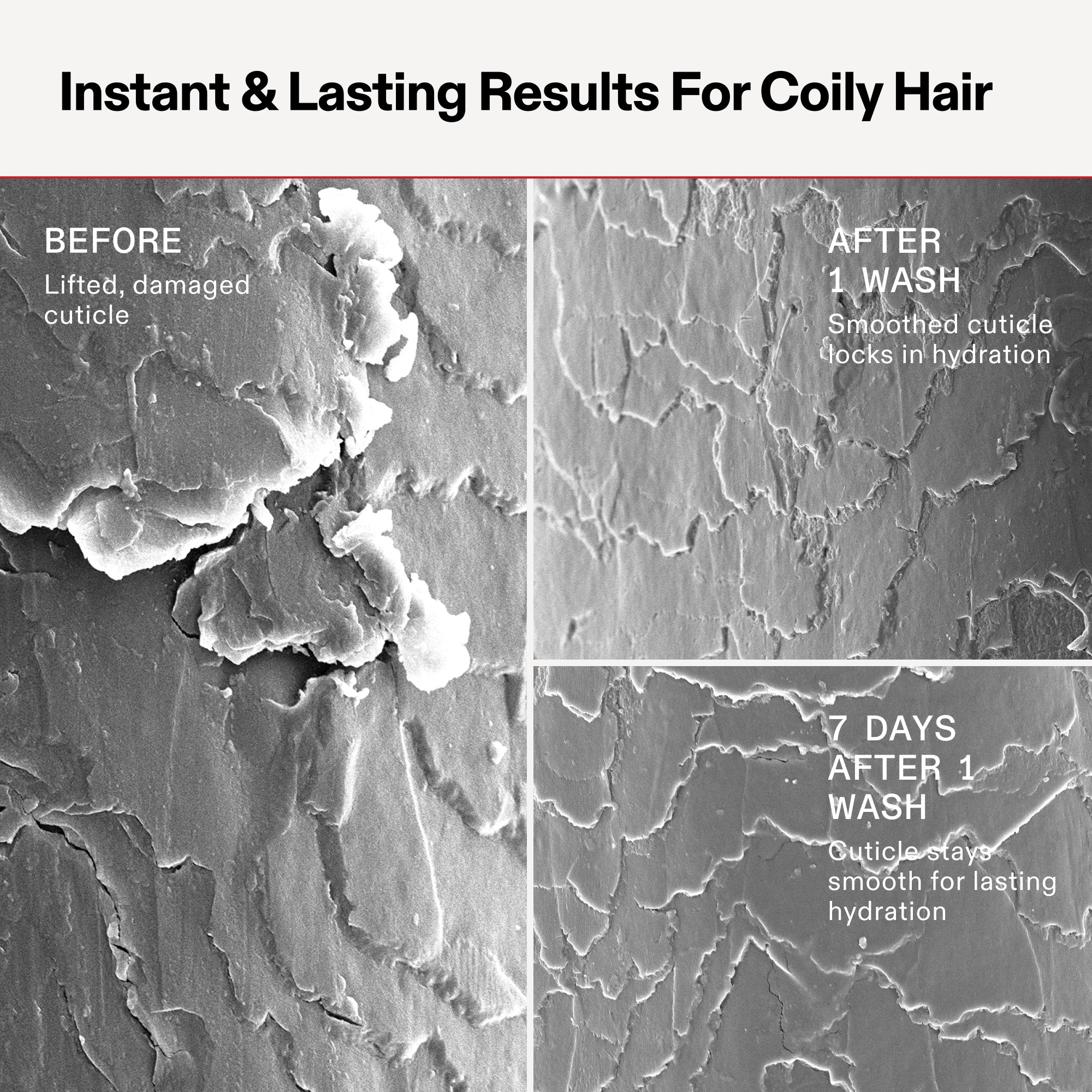 Scientific comparison titled 'Instant & Lasting Results For Coily Hair' showing three microscope images of a coily hair cuticle. 'Before' shows a lifted, damaged cuticle. 'After 1 Wash' shows a smoothed cuticle that locks in hydration. '7 Days After 1 Wash' shows the cuticle remains smooth for lasting hydration
